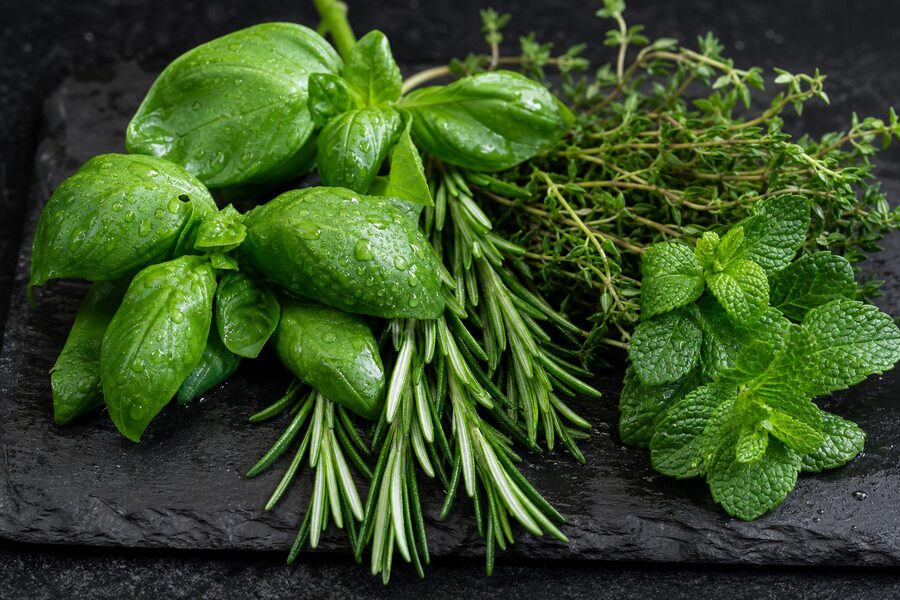 Fresh herbs including basil, rosemary, thyme and mint grown by Nika Farms